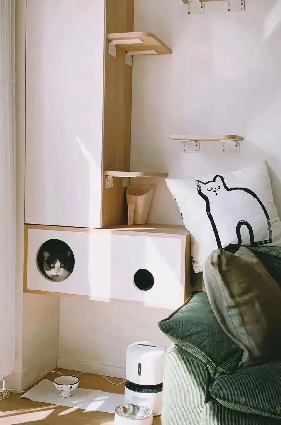 好室发声|不愧是“猫屋”的天花板!这个家的自由属于人和猫