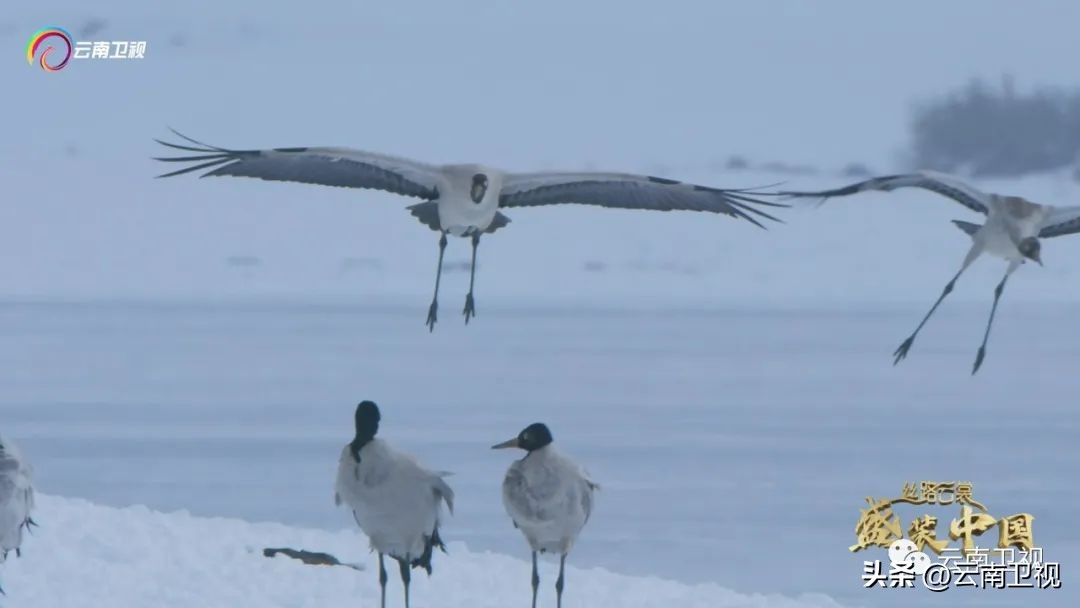 穿在身上的乌蒙磅礴｜《丝路云裳盛装中国》云南卫视今晚21:06播出