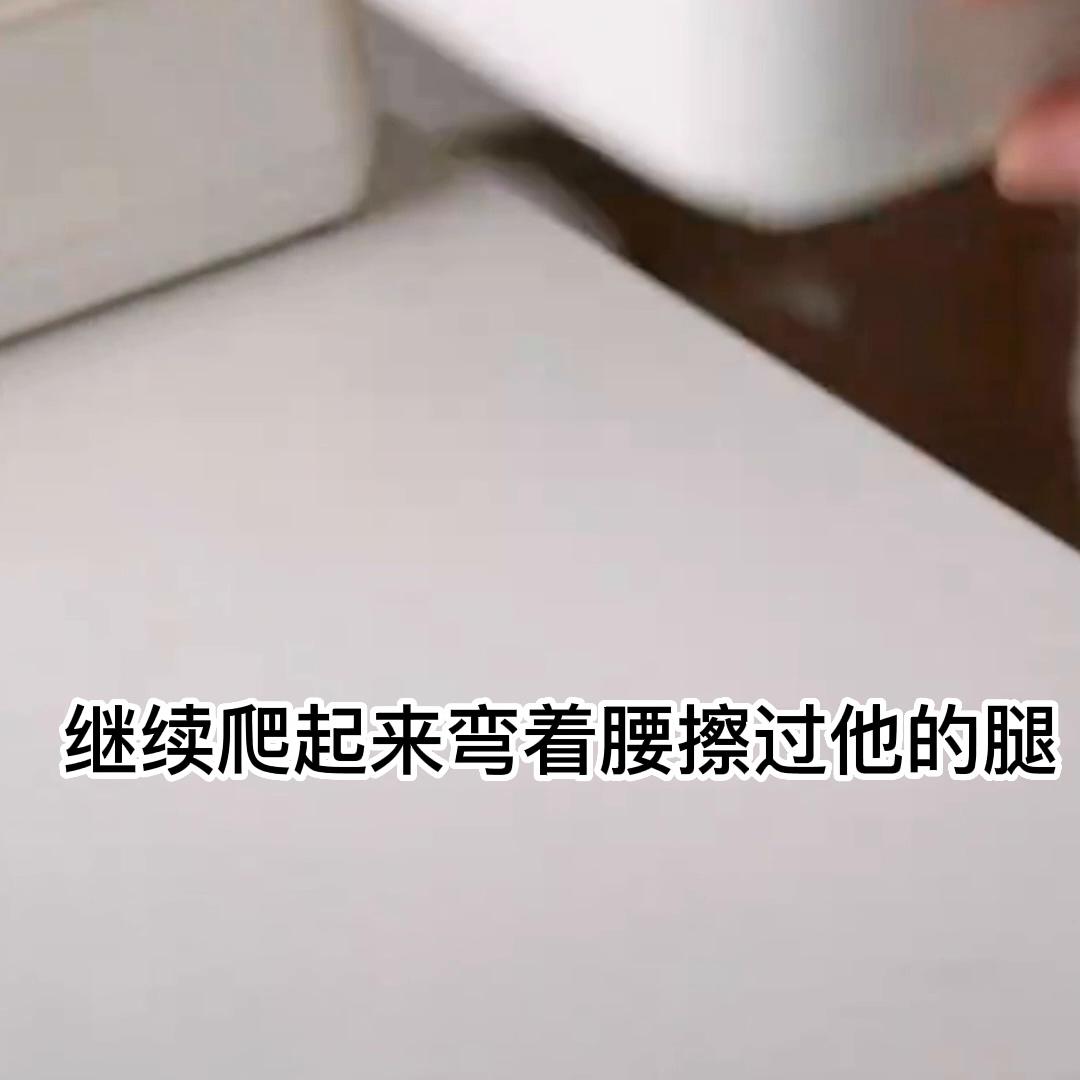 大叔控的小说排行榜,大叔控占有欲小说