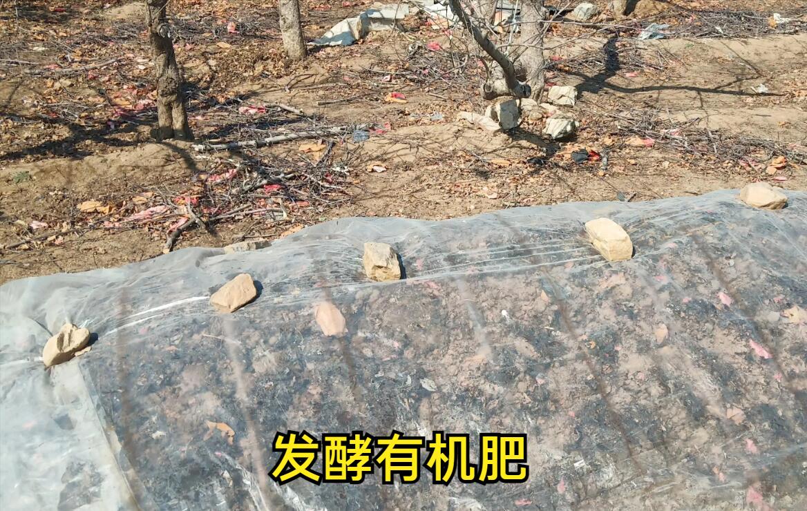 有机种植知识讲解,有机质是什么符合种植标准的