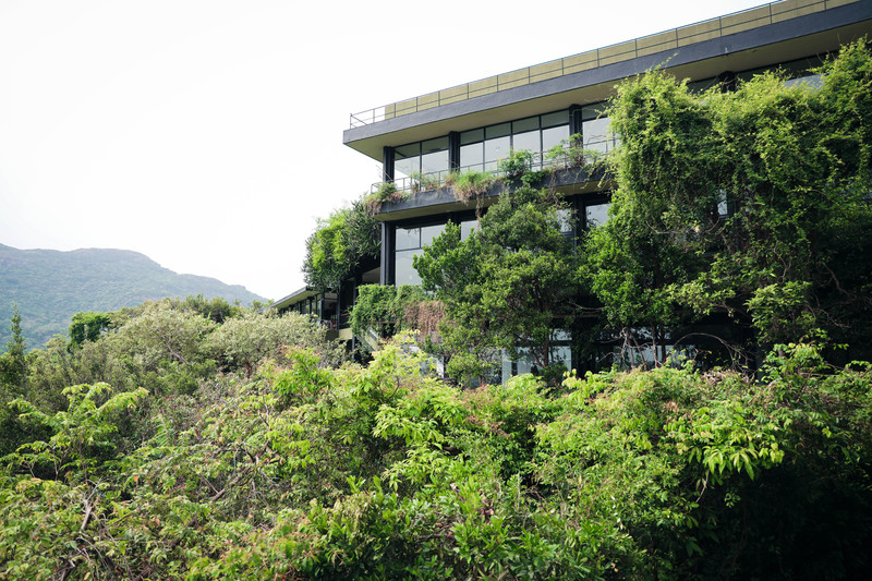 斯里兰卡旅游攻略必去景点,斯里兰卡最佳旅游攻略