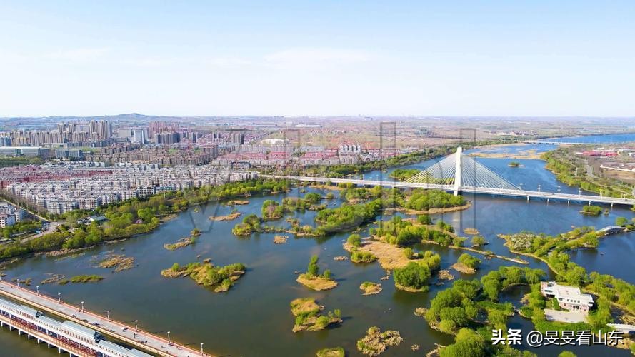 潍坊各县区发展排名,潍坊市各县区gdp排行