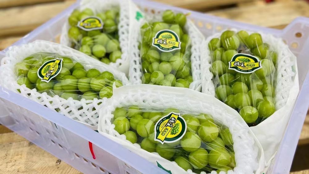 开水果店水果怎么去陈列，开一家水果店怎么陈列摆设