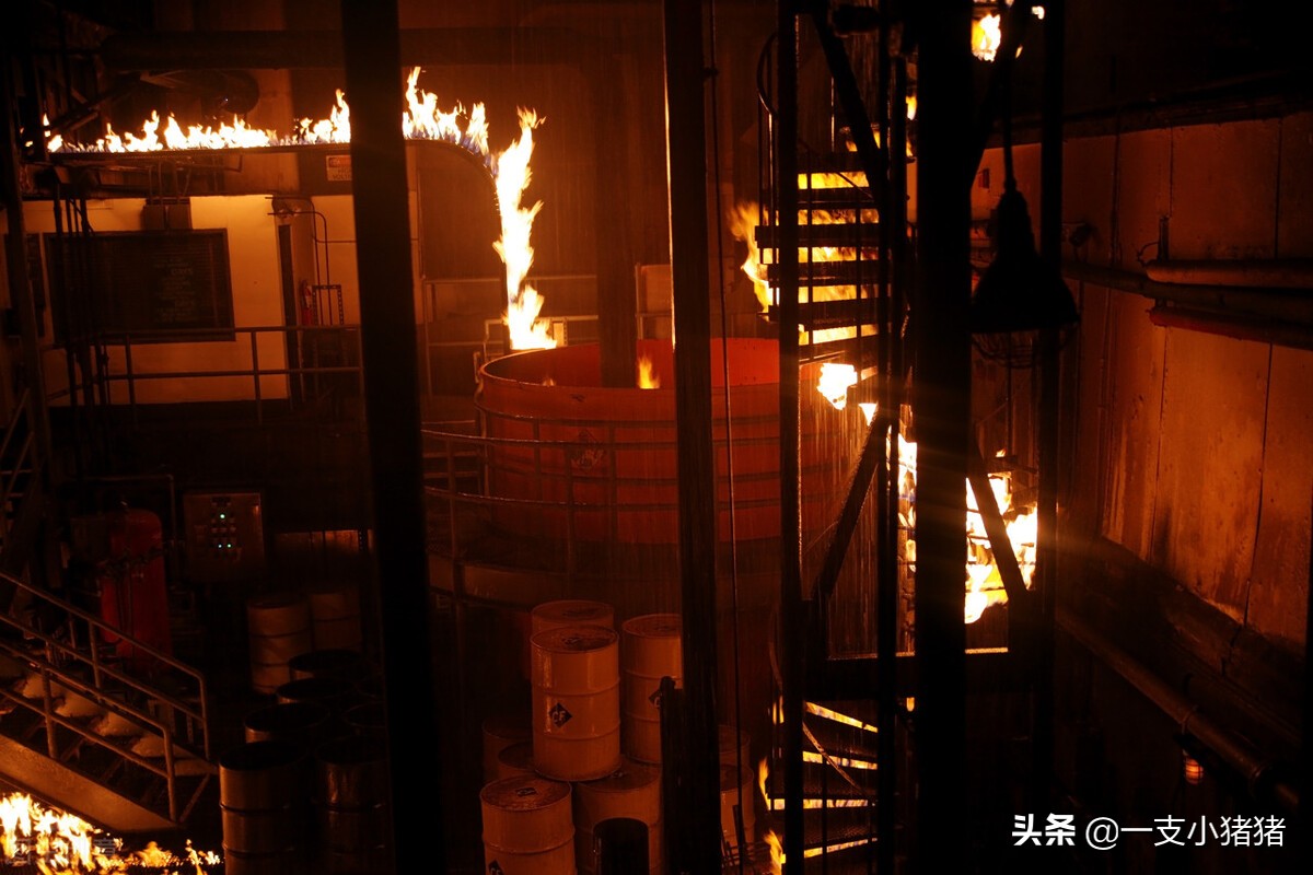 人如何预防重大疾病和意外伤害,普通人怎么预防癌症