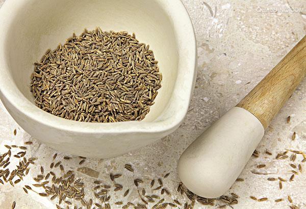 孜然是什么植物结的籽,孜然果实有哪些