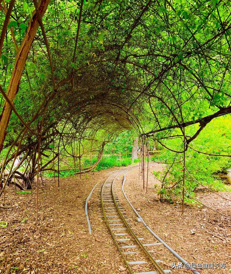 世界花园风景,世界花园