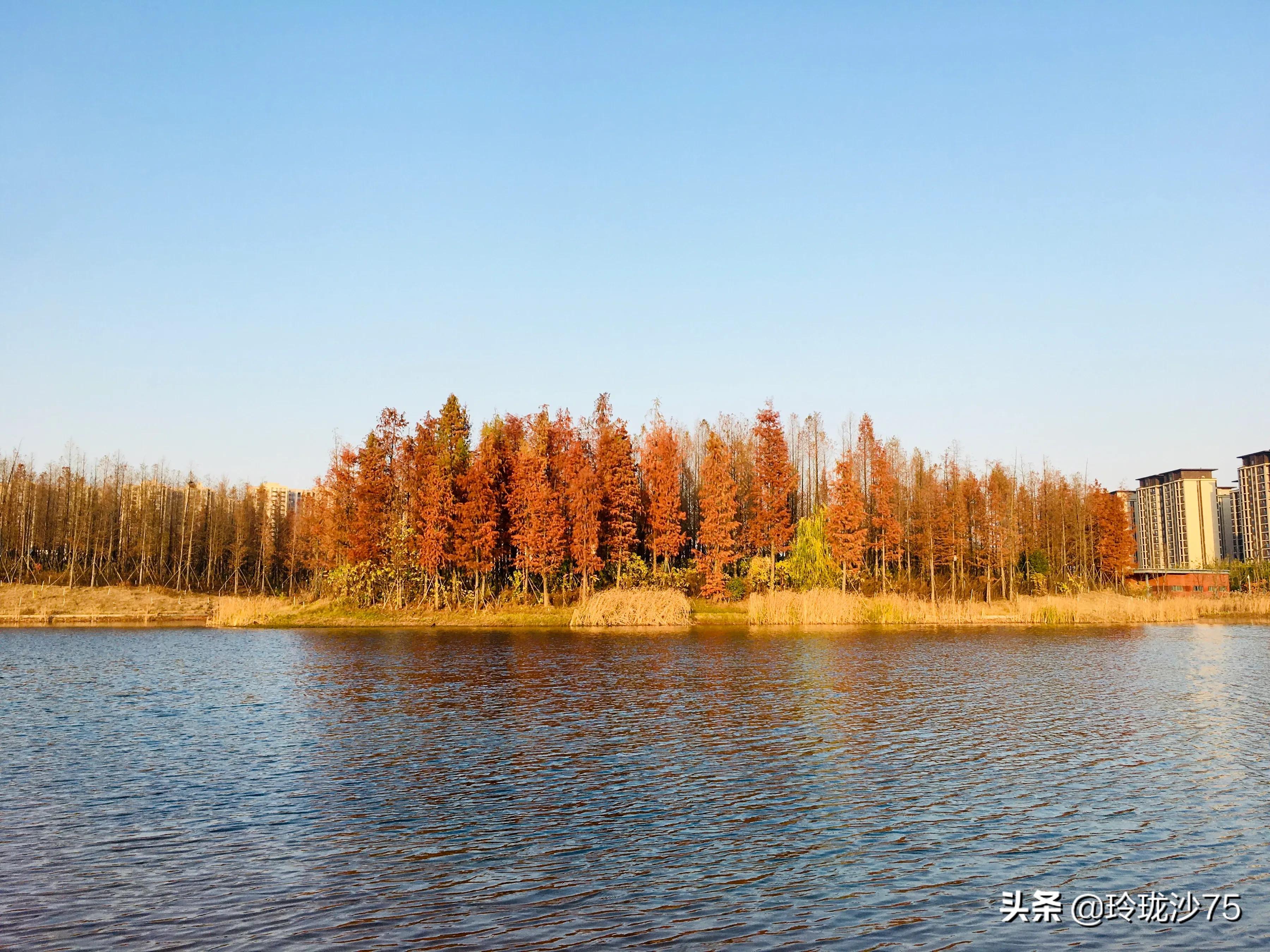 长沙风景美丽的篮球场,长沙王陵公园生态足球场