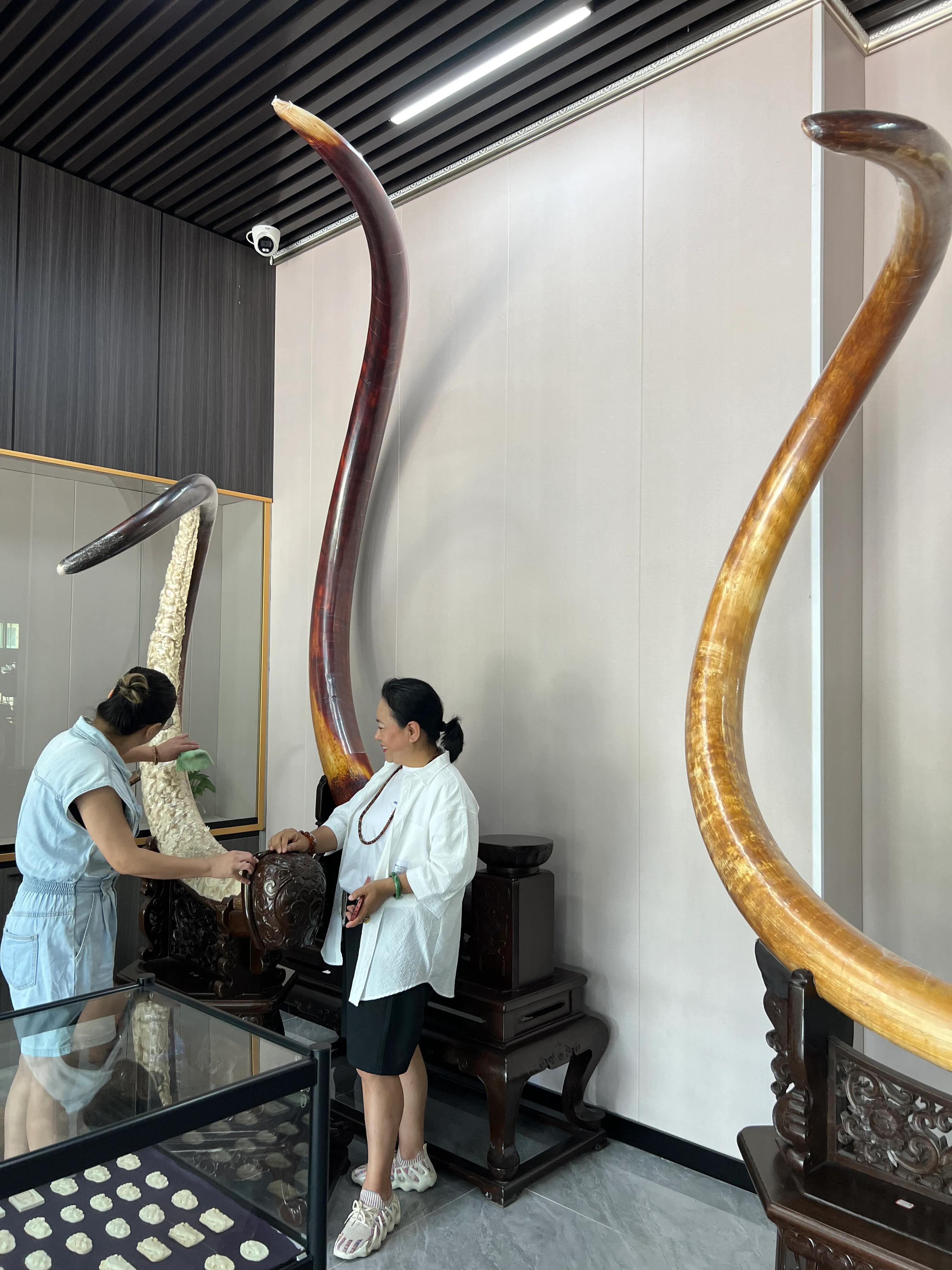 猛犸象牙有纹和没纹哪个好,猛犸为什么贵