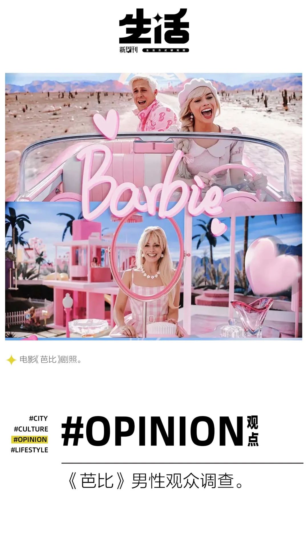 关于芭比一切资料,关于芭比的所有东西