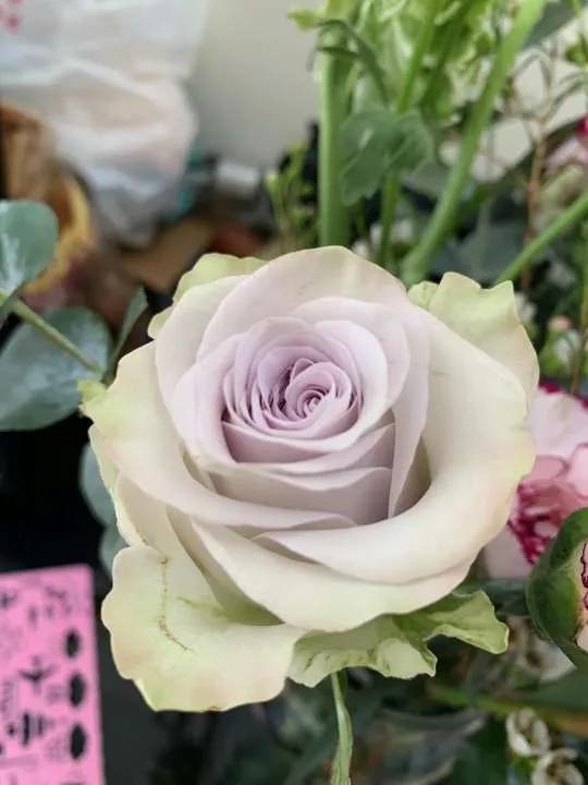 岁月斑驳留下来的都是静好时光,岁月斑驳愿时光静好