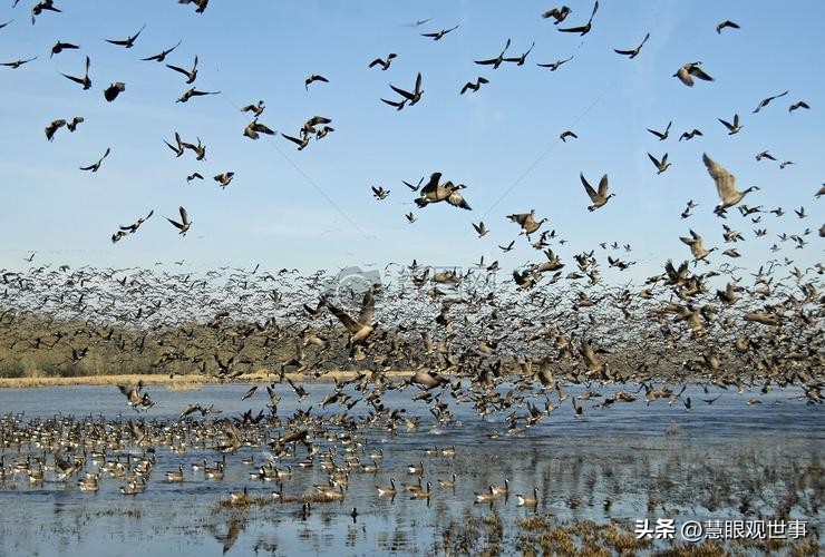 中高考必考古诗词,中高考必背古诗词朗诵