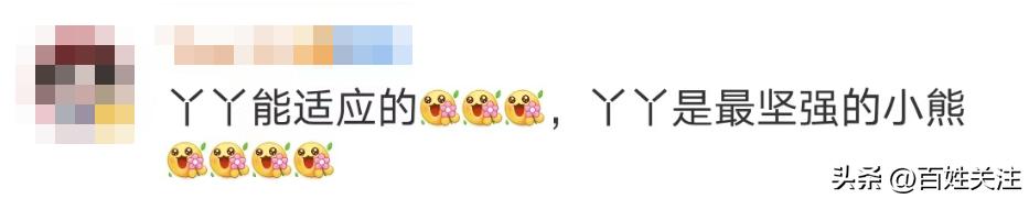 丫丫最新视频报道出来了吗,丫丫最新视频在线观看