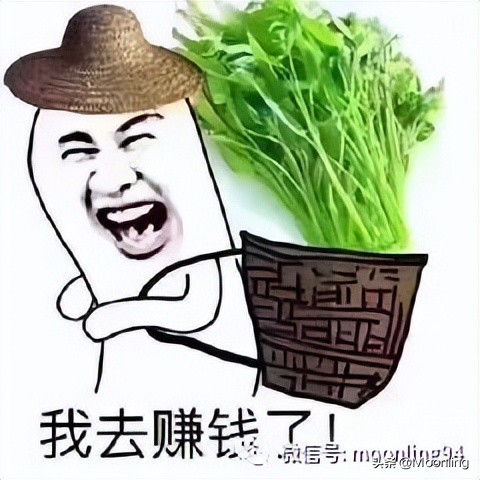 从品牌定位到产品服务,标品新品打造爆款思路