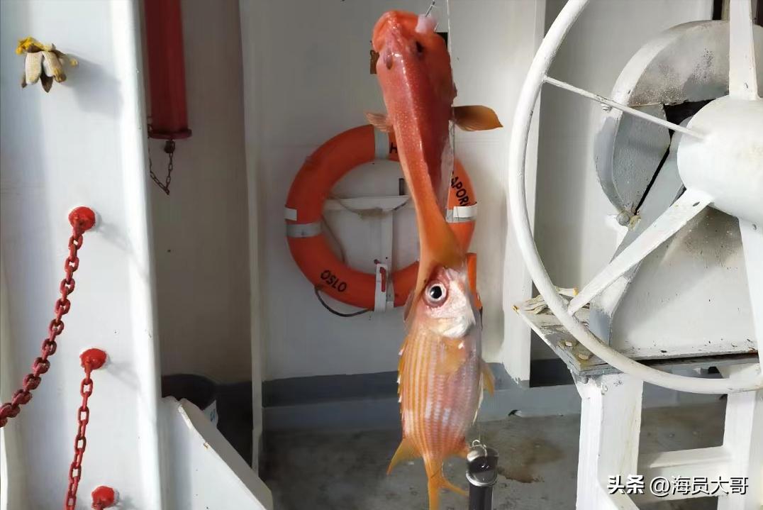 做海员危不危险,做海员值得吗