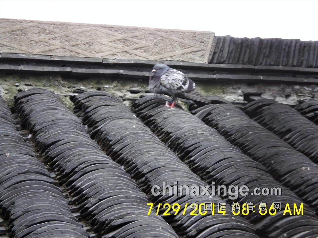 宁镇扬大赛,宁镇扬足球邀请赛