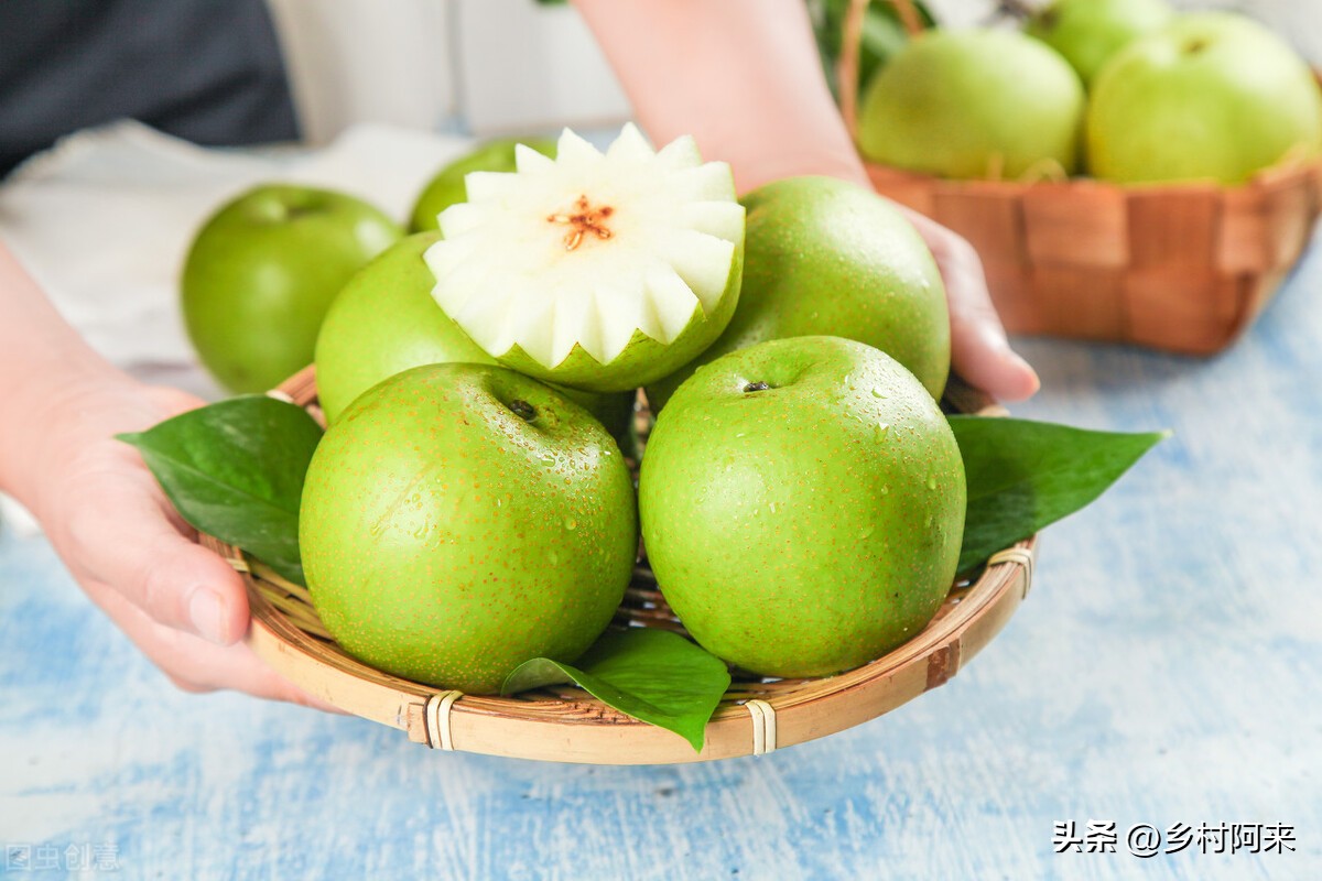 梨农村品种,农村最常见的梨子品种