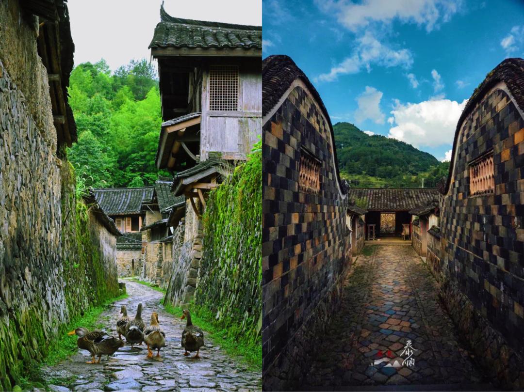 10元游温州景区,10元游温州