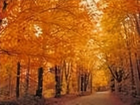 一年级下册语文春夏秋冬识字方法,一年级下册春夏秋冬同步练习题