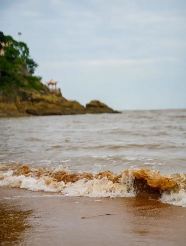 东海最后一处冷门小县城，藏了个海上仙子国，一口小海鲜封神