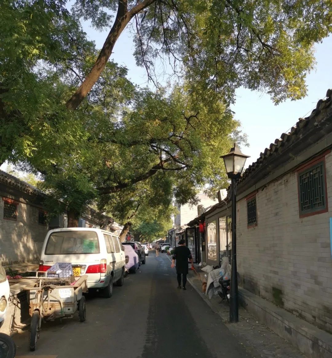 东四最著名的“豪宅”原来是它！|四合院的门簪和门墩都有什么门道？说说门楼四大美？！|他用修胡同记录北京