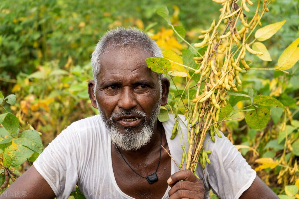 印度德尔塔病毒在印度的现状,印度德尔塔病毒