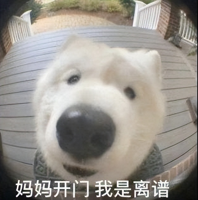 梦幻西游手游小号全被封,作为资深的玩家突然被封号