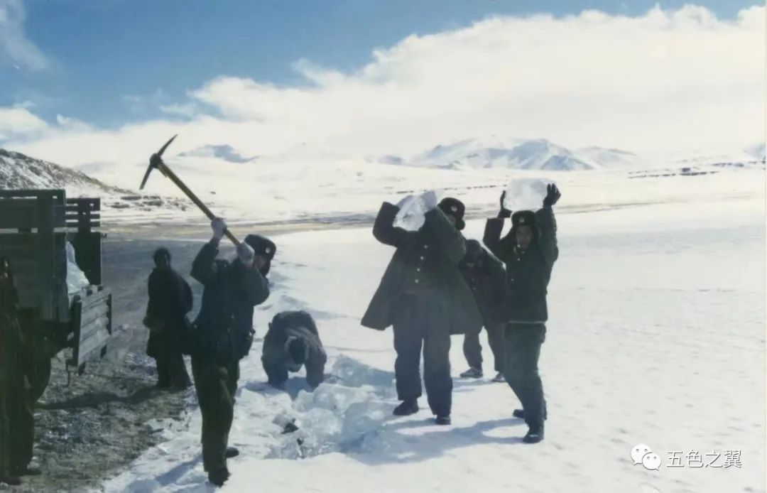 5060米红山河机务站：海拔太高，兔子——牺牲了