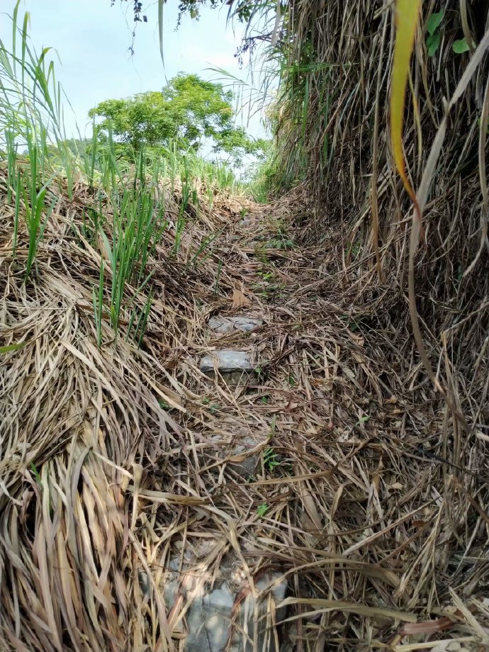 郴乐古道之水头江宜乐古道--广东省乐昌市庆云镇