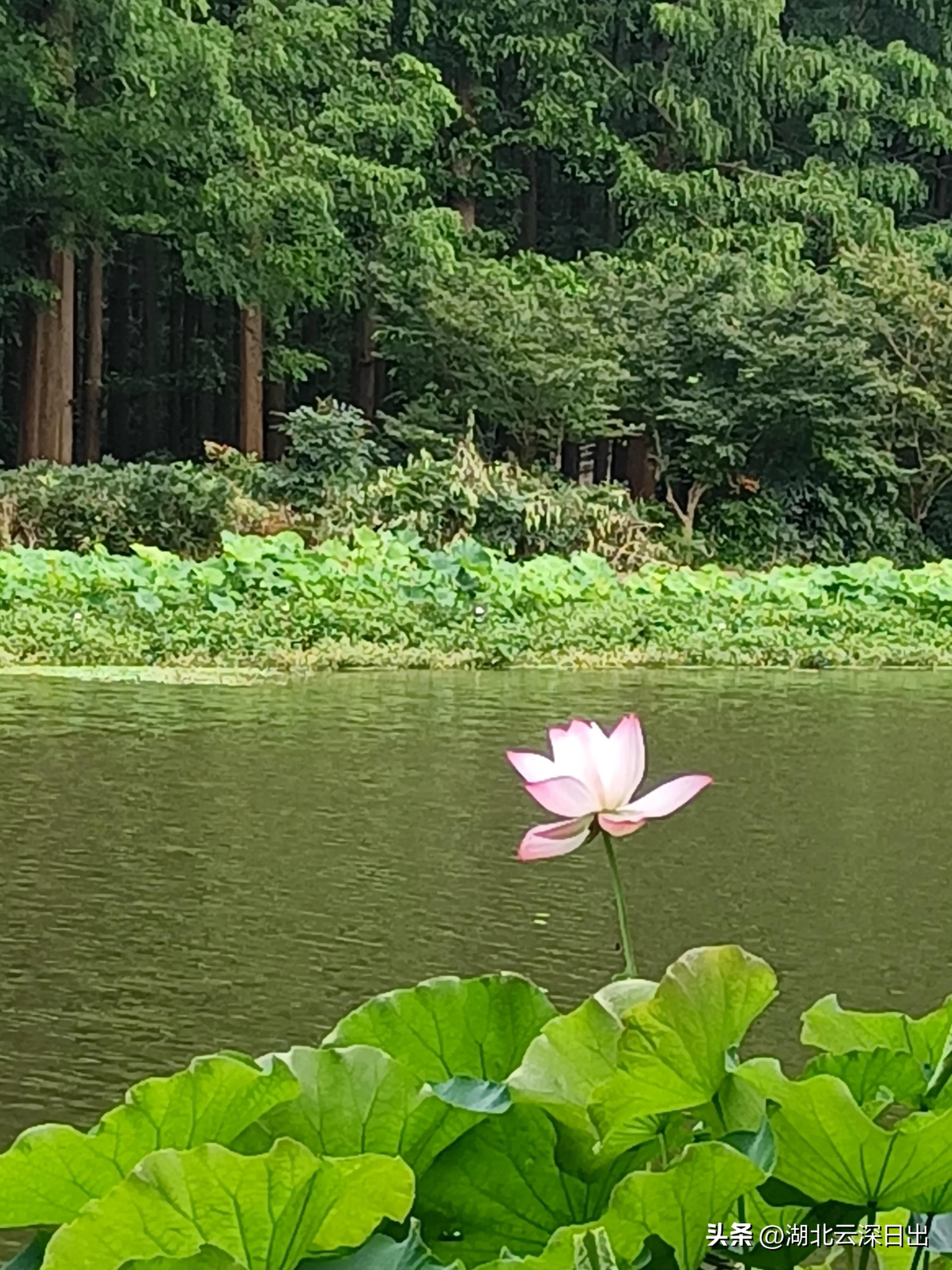 “道”在哪里？“道”离我们每个人有多远？