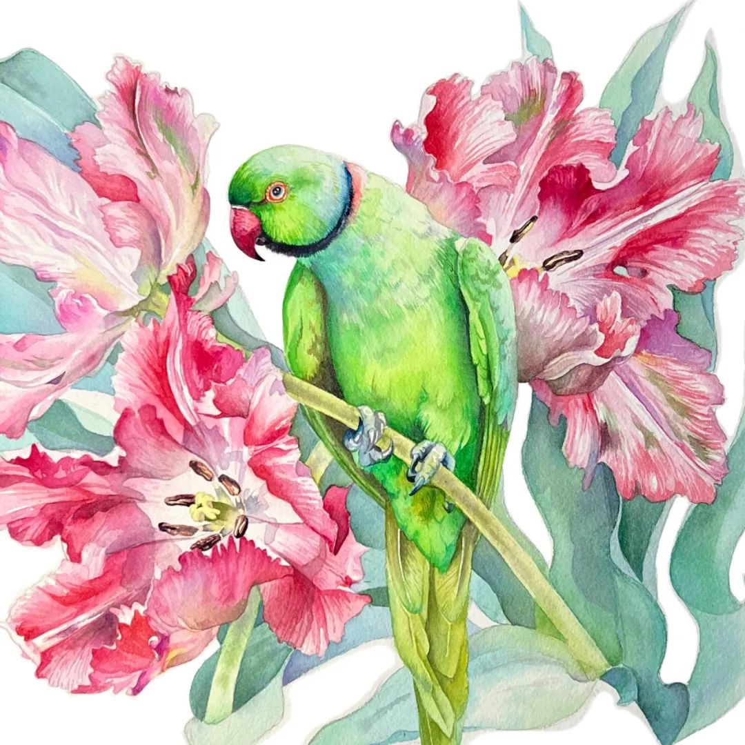 大神级水彩作品看完肯定不后悔,40张笔触狂放的水彩