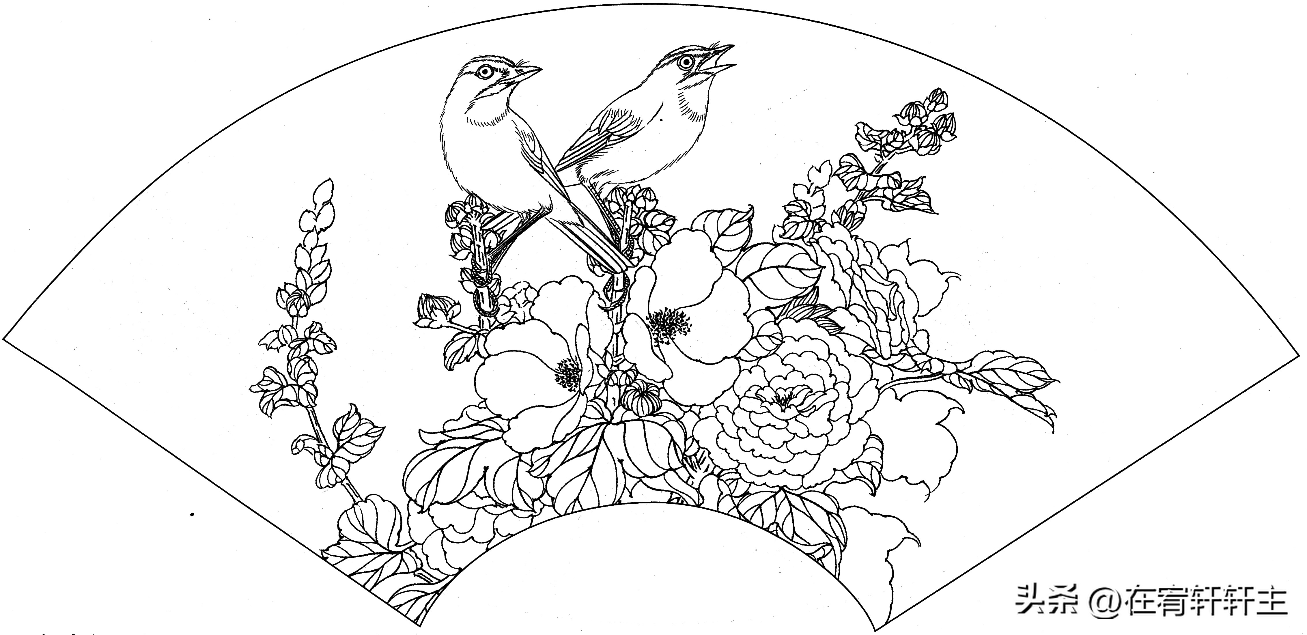 工笔白描祥云图案扇面,工笔扇面葡萄白描图片