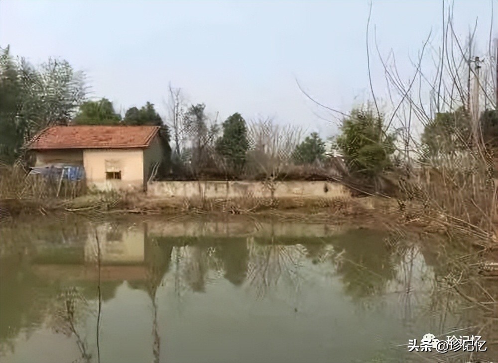 香喷喷的清炖羊肉,那碗热腾腾的面400字