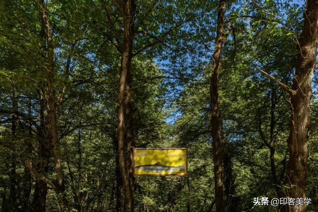 值得收藏的100张照片,100幅精品摄影作品欣赏