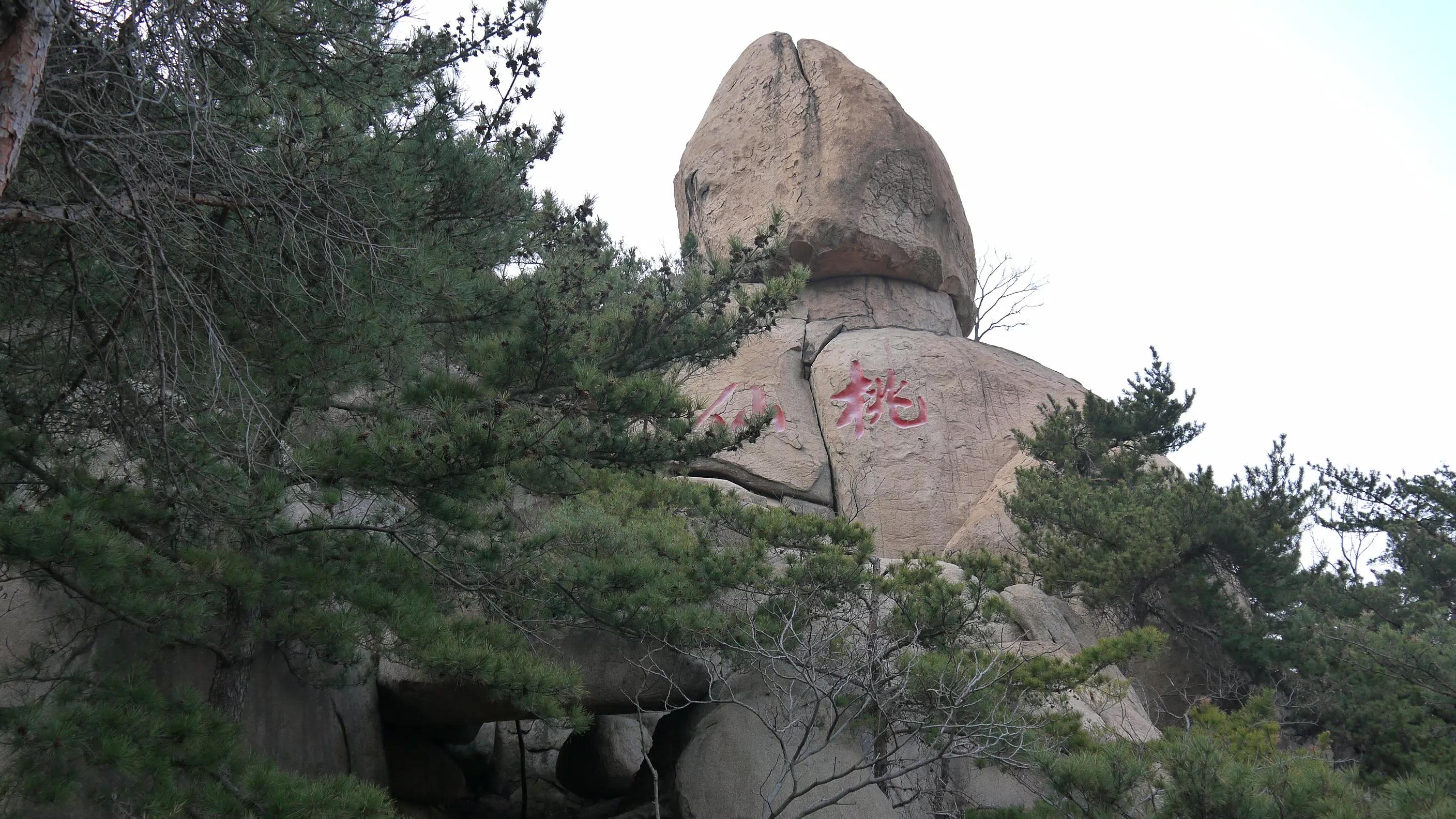 闈掑矝宕傚北浠板彛绱㈤亾,闈掑矝宕傚北浠板彛璧舵捣