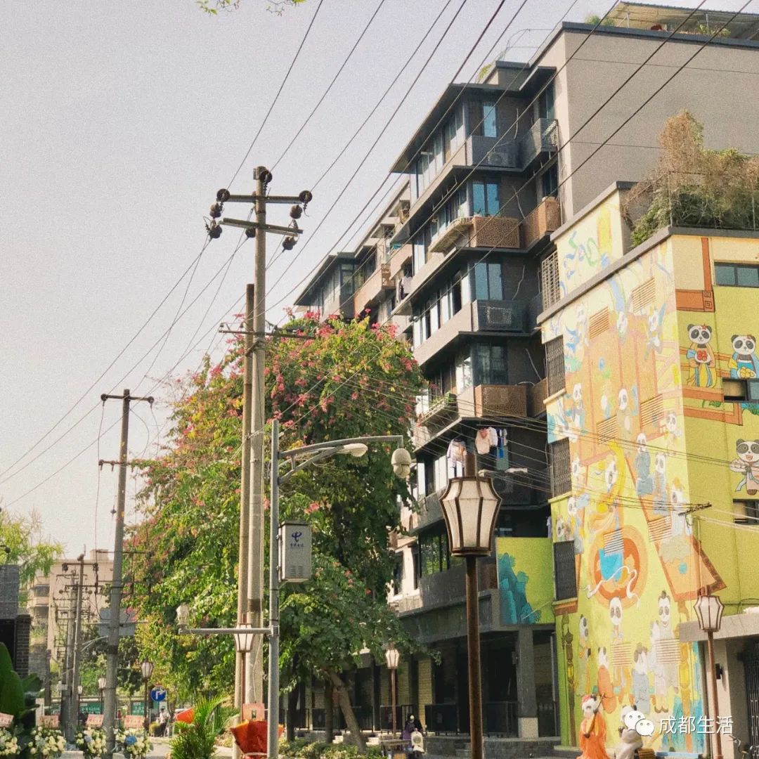 成都最有烟火气的老街,成都比较有特色的老街