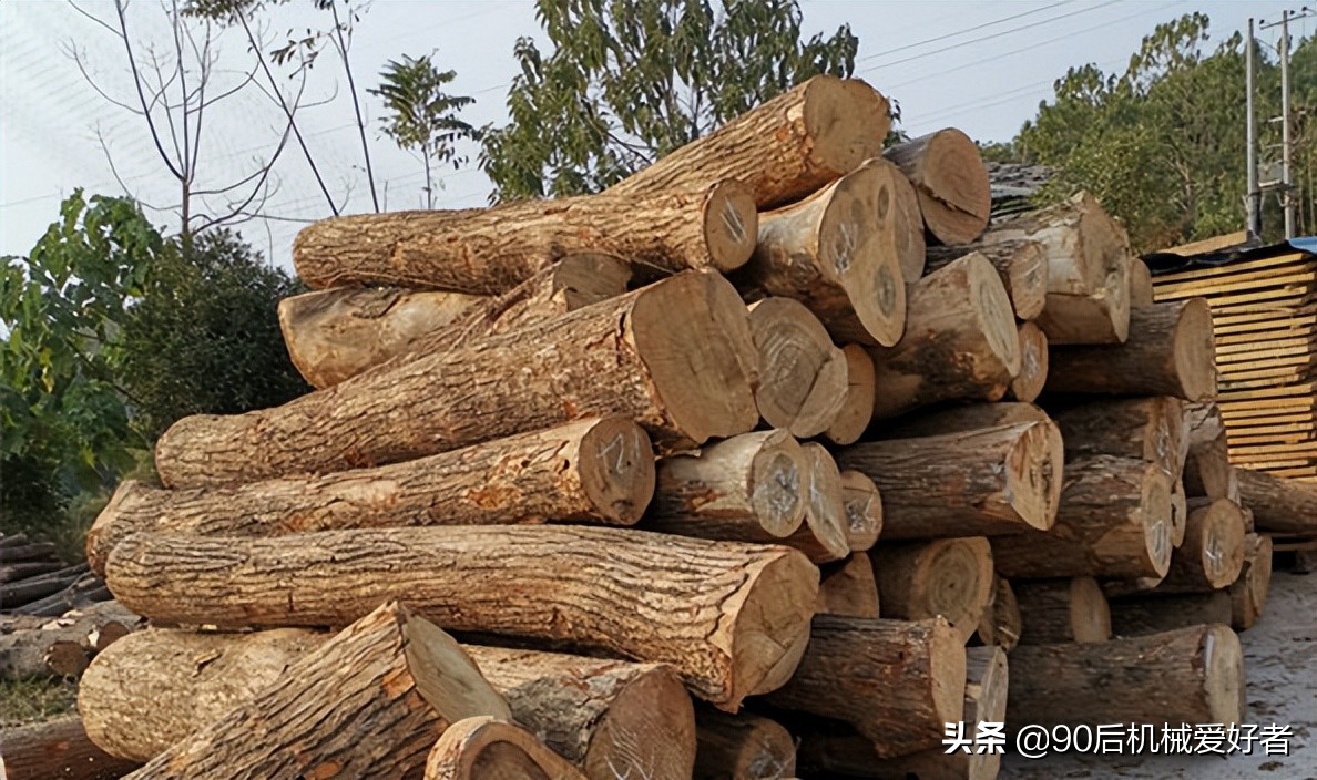 树木炭制作全过程,树木怎么变成烤肉炭