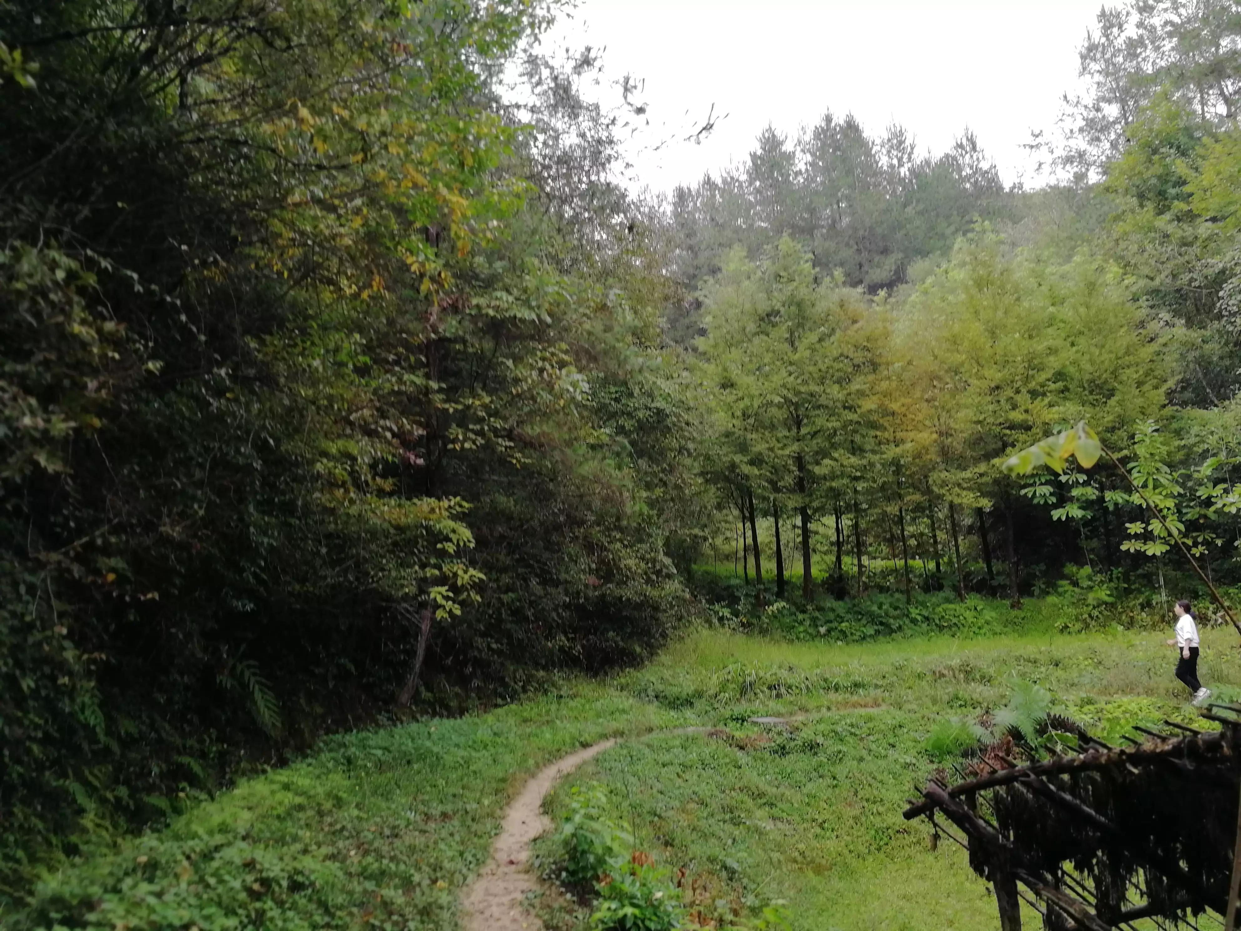 秦岭，远去的虎啸（之五）