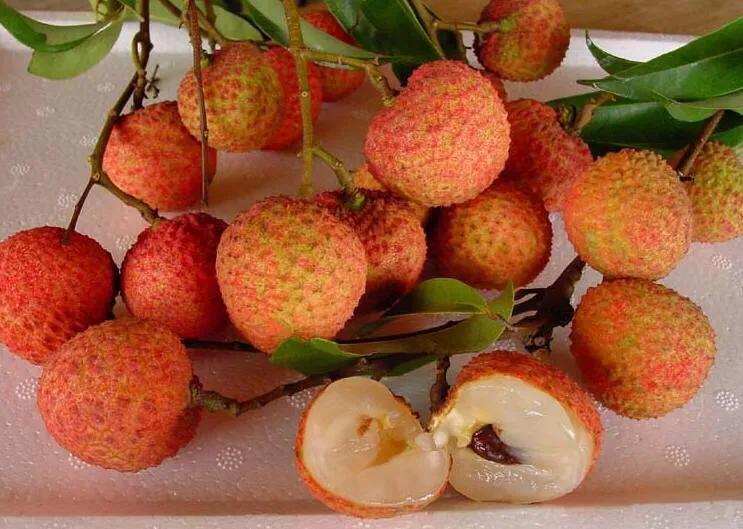 北京一斤荔枝卖1049元，从雪糕刺客到荔枝刺客；是收智商税吗？