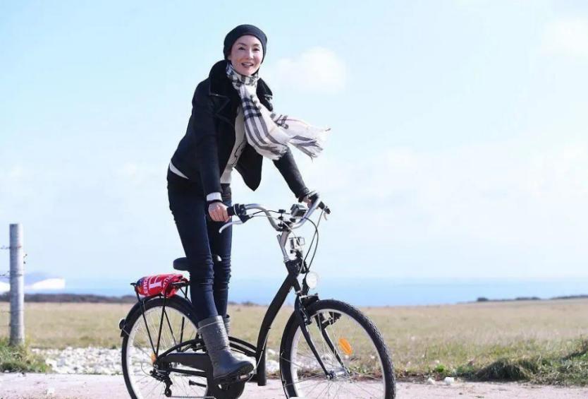 张曼玉2008年息影,张曼玉多大息影