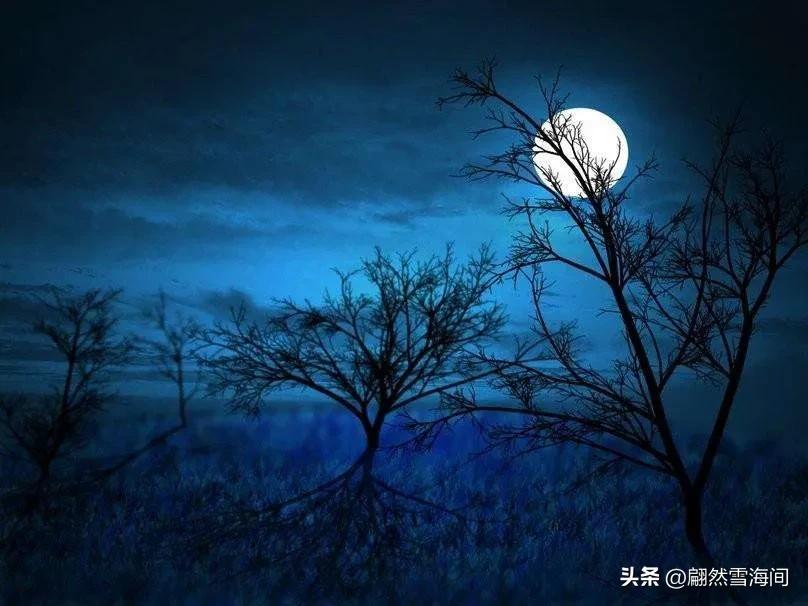 描写秋天古诗词经典鉴赏,五个描写秋天的古诗词名句