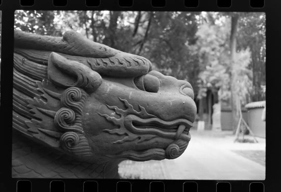 玩转器械,第一次玩胶片摄影