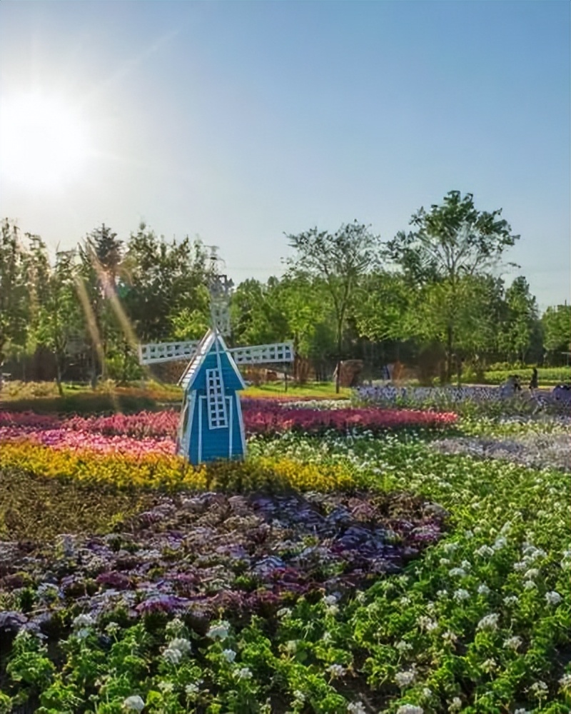 打开这份“小美好”指南，30个免费打卡地大盘点→