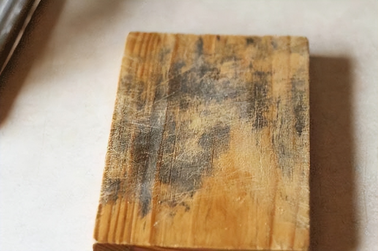 “求求你,扔掉那块砧板吧!”对比5种砧板的优缺点,哪种更好?