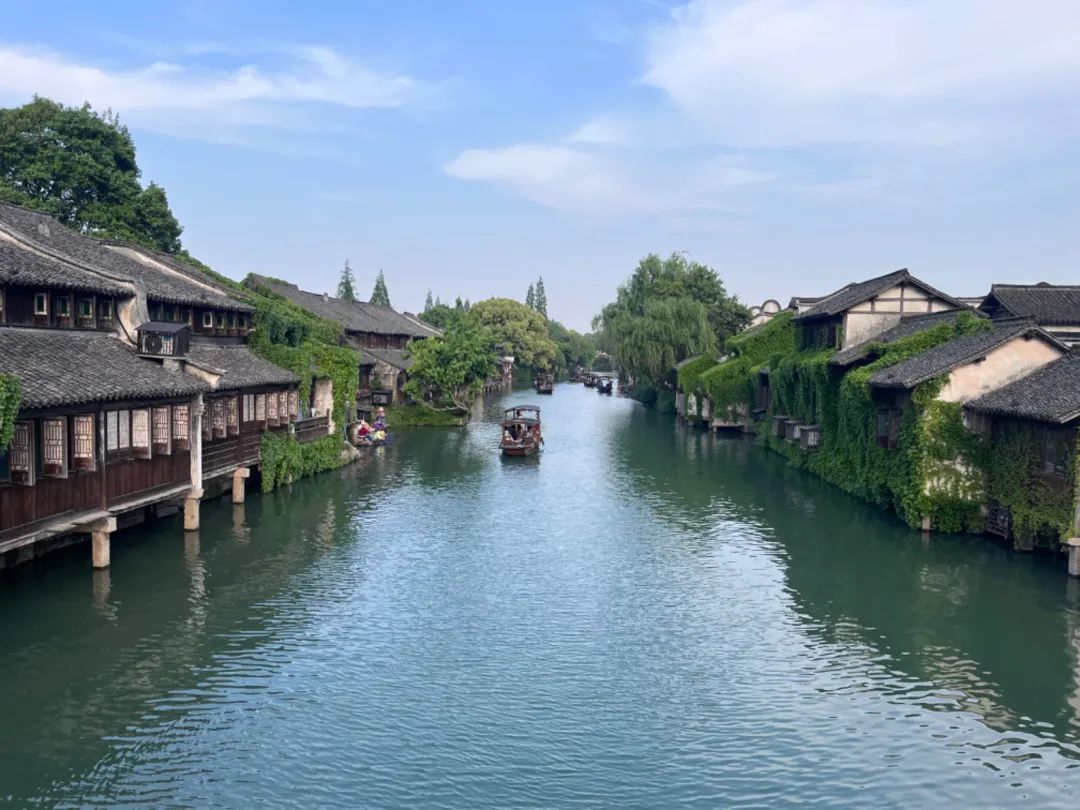 离谱，我被伦艺CCI骗了