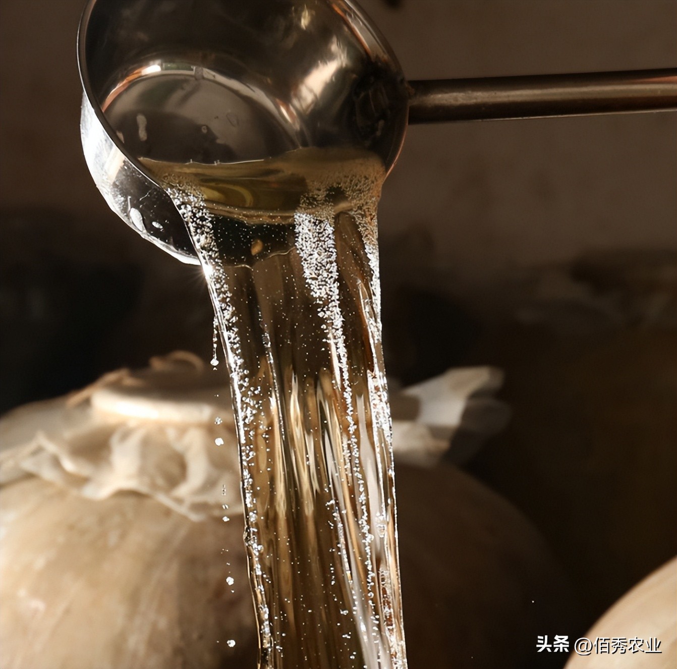 洋河天之蓝梦之蓝海之蓝怎么区分,洋河酒梦之蓝和海之蓝天之蓝区别