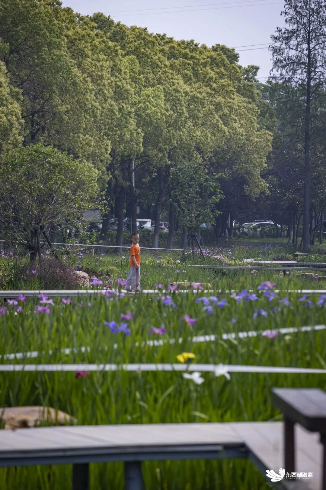 武汉东西湖奥林匹克花园,武汉东西湖碧海花园