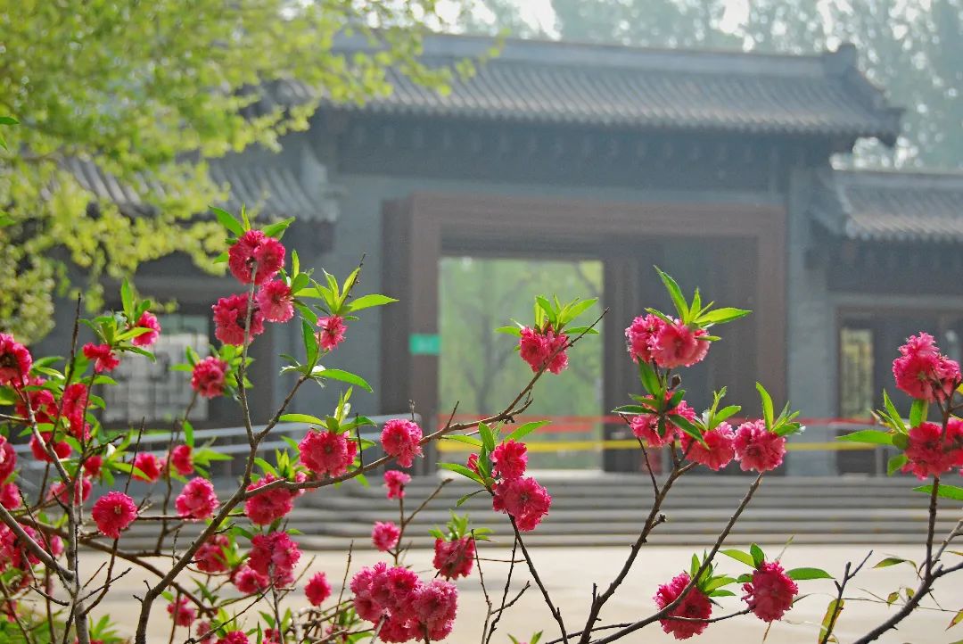 津北森林公园游玩攻略,津北森林公园和北宫森林公园比较