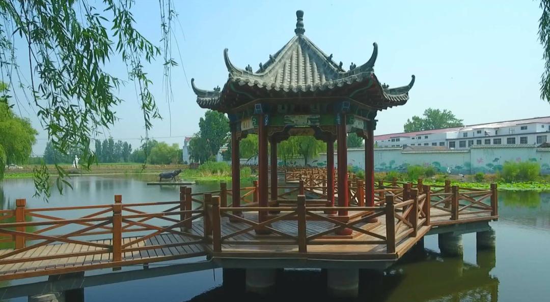 临沭：乡村蝶变入画来