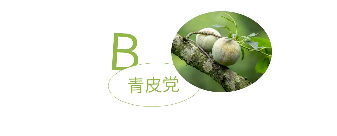 从化摘果攻略,从化摘水果攻略