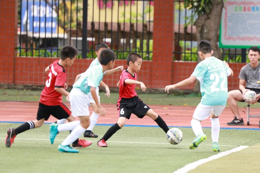 我们的校园,美丽的厦门何厝小学